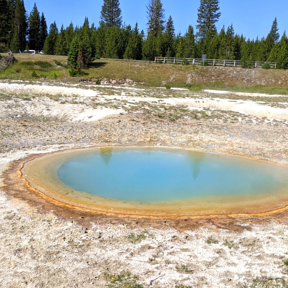 Meet your Posher, Kanna